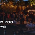 Nachts im Zoo