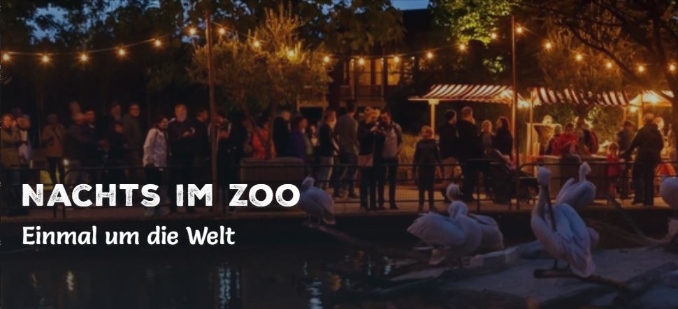 Nachts im Zoo